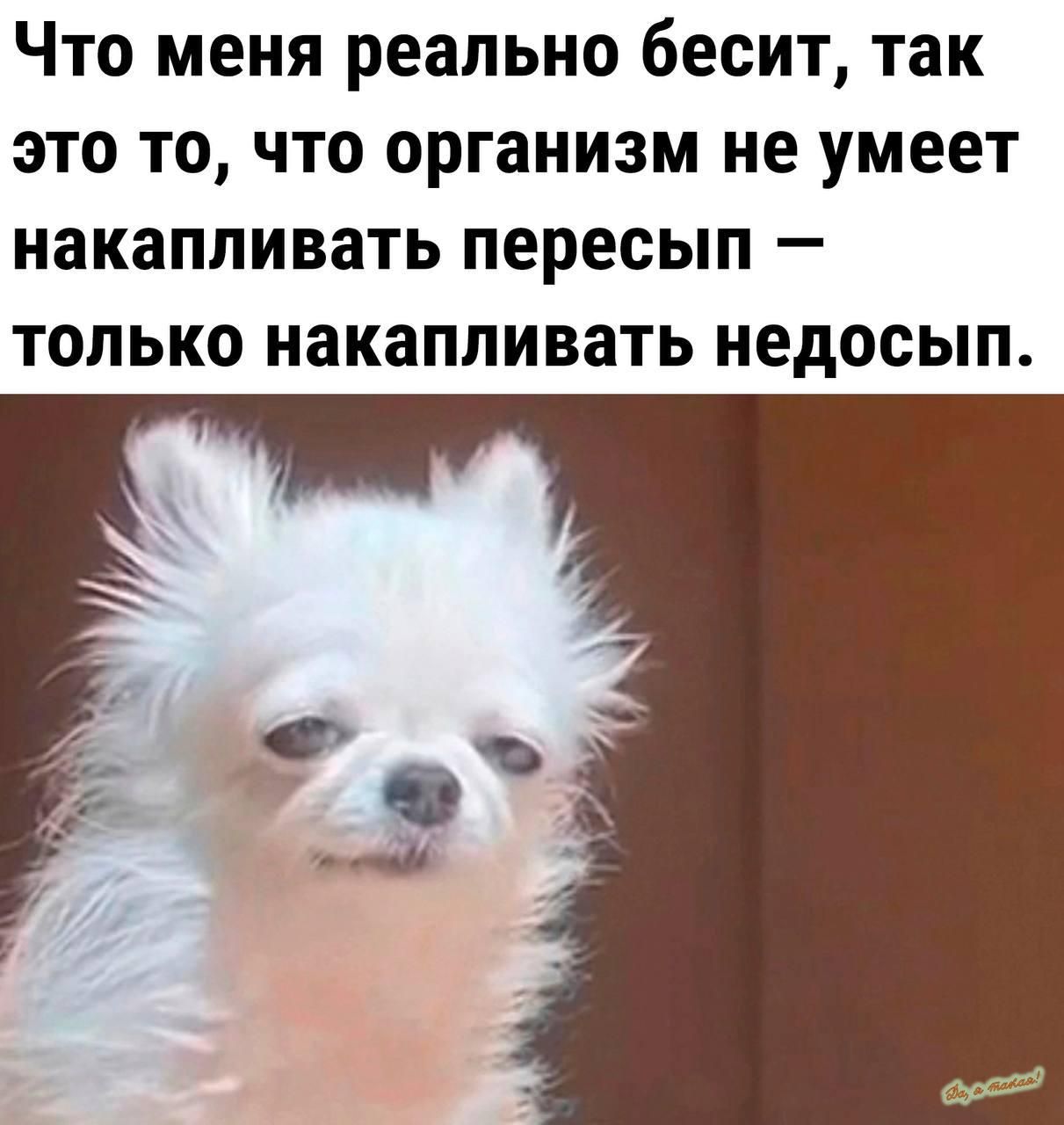 Что меня реально бесит так это то что организм не умеет накапливать пересып только накапливать недосып