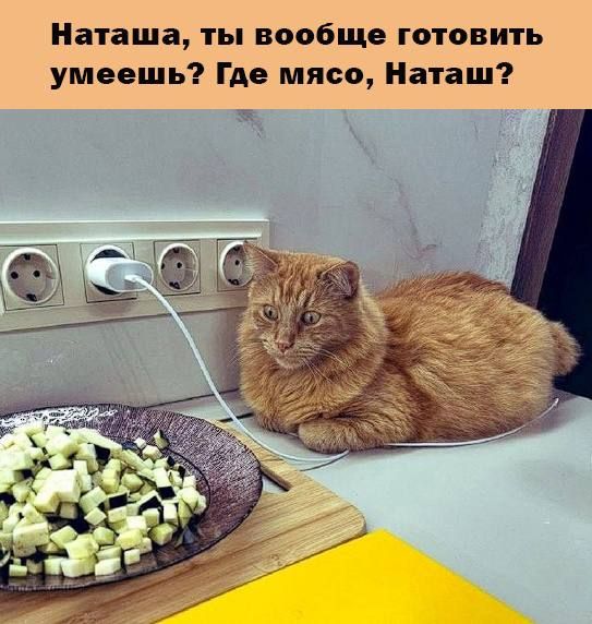 Наташа ты вообще готовить умеешь Где мясо Наташ