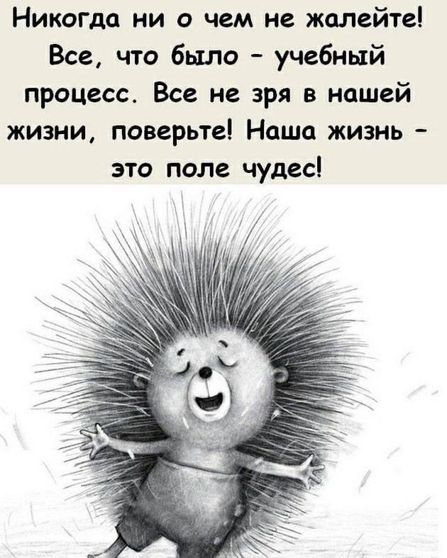 НикОГДа ни о чем не жалейте Все что было учебный процесс Все не зря в нашей жизни поверьте Наша жизнь это поле чудес