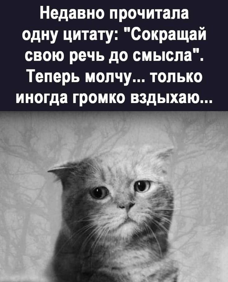 Недавно прочитала одну цитату Сокращай свою речь до смысла Теперь молчу только иногда громко вздыхаю