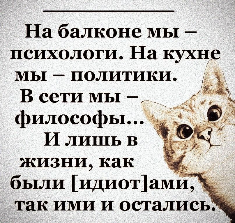 На балконе МЫ психологи На кухн мы политики В сети МЫ 33 философы И лишь в жизни как были идиотами так ими и остались