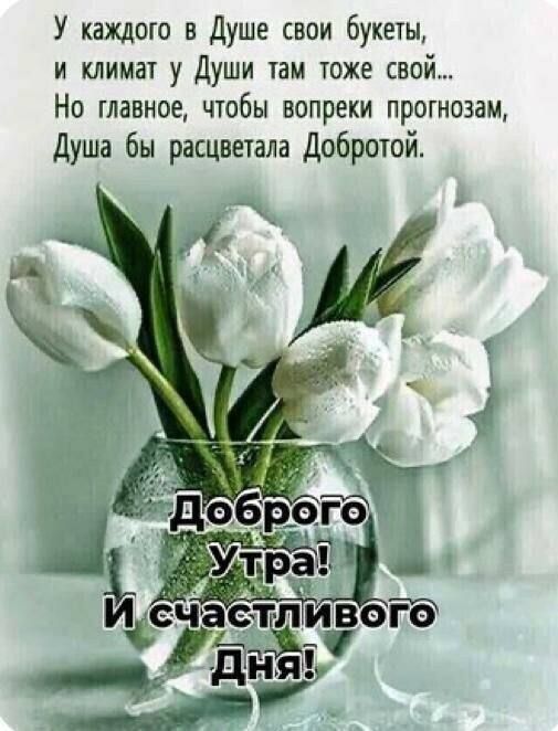 У каждого в Душе свои букеты и климат у Души ШМ тоже свой Но главное чтобы вопреки прогнозам душа бы расцветала Добротой