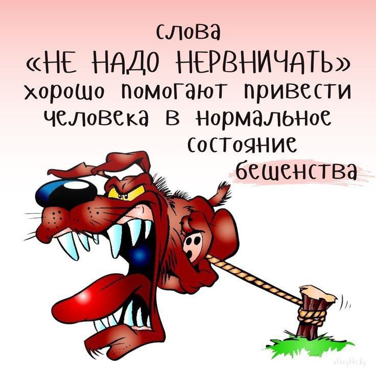 лова НЕ НАДО НЕРВНИЧНТЬ хороШо ПОМОГЭЮТ привести ЧСЛОВСКЗ В НорМЭЛЬНОС 0Т09НИС бешенства