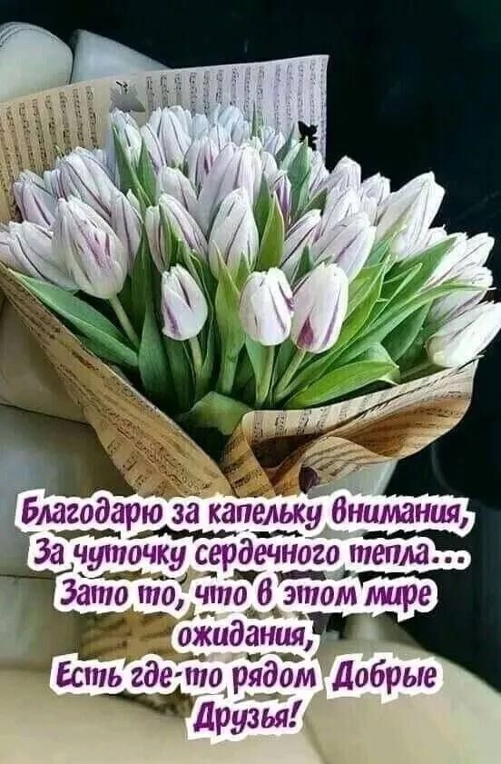 За чуточку сгрдечного тепла Зато то что_ В этом ще __ожид запаян Есть где та рядом добрые друзья