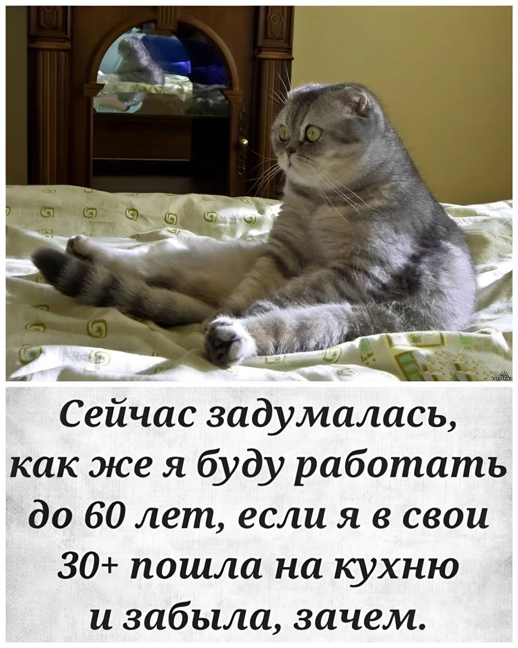 у Сейчас задумалась как же я буду работать до 60 лет если я в свои 30 пошла на кухню и забыла зачем