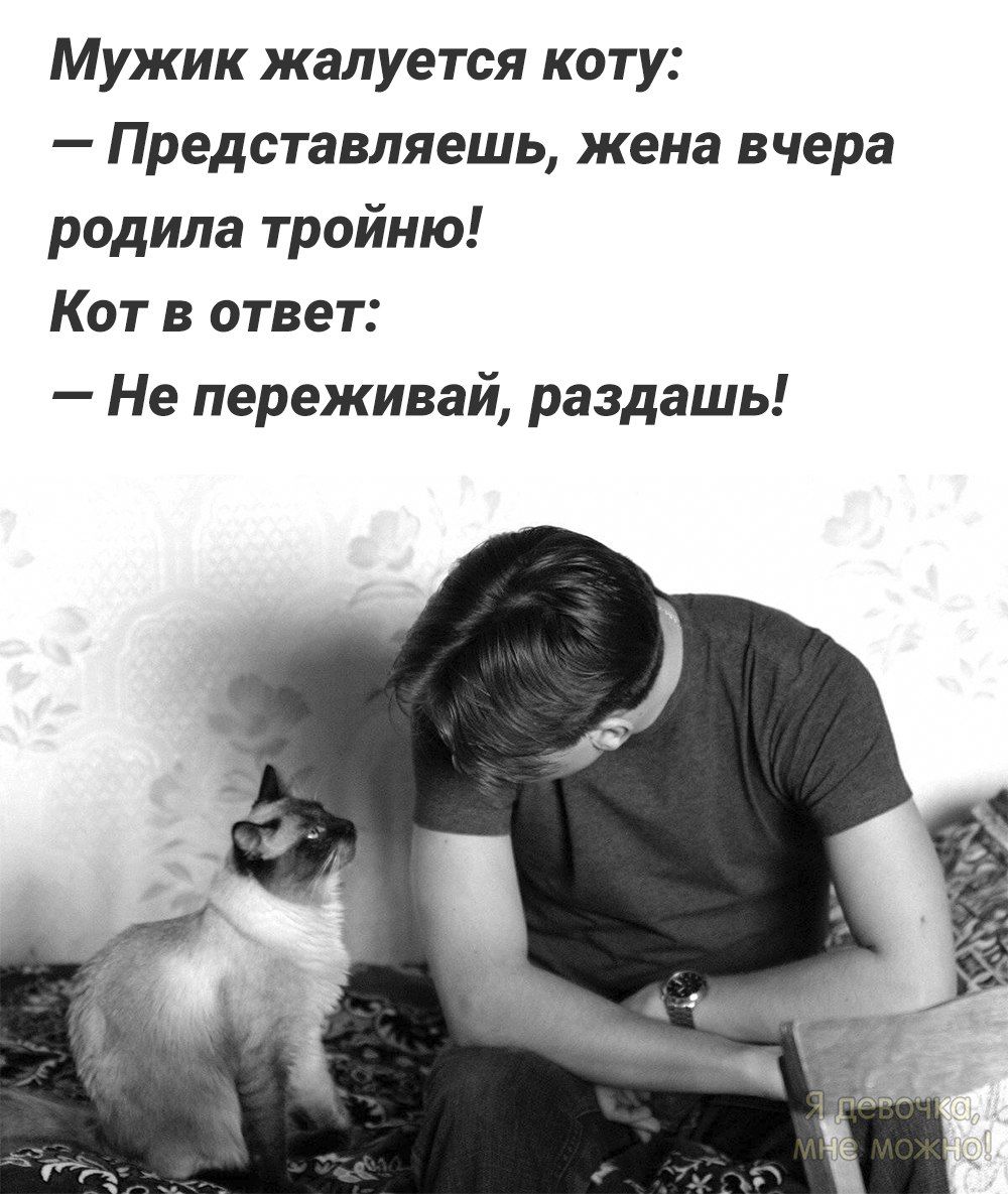 Мужик жалуется коту Представляешь жена вчера родила тройню Кот в ответ Не переживай раздашь