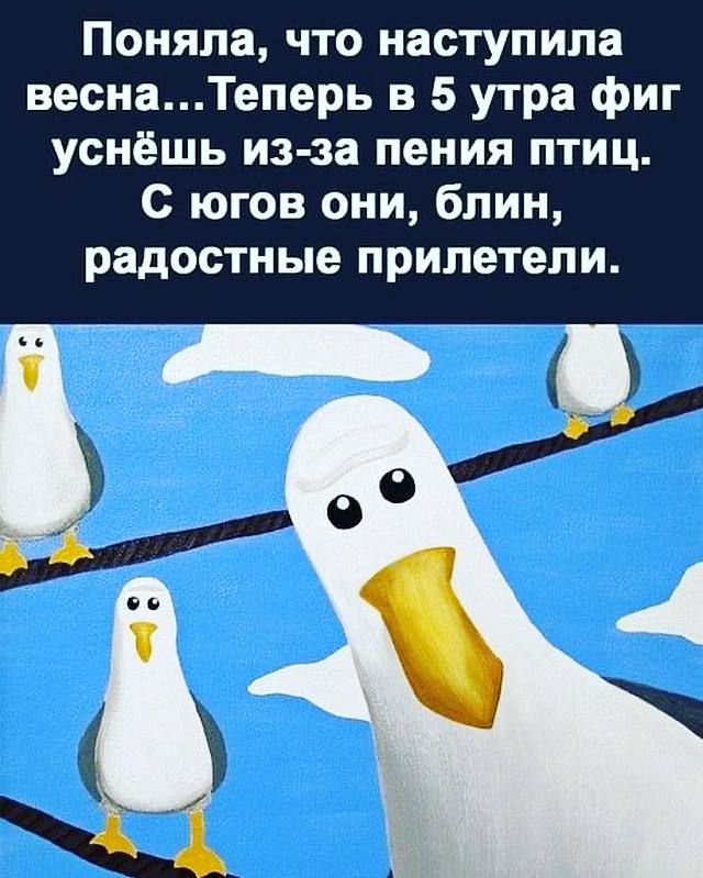 Поняла что наступила веснаТеперь в 5 утра фиг уснёшь из за пения птиц С югов они блин радостные ПРИЛВТЕЛ И