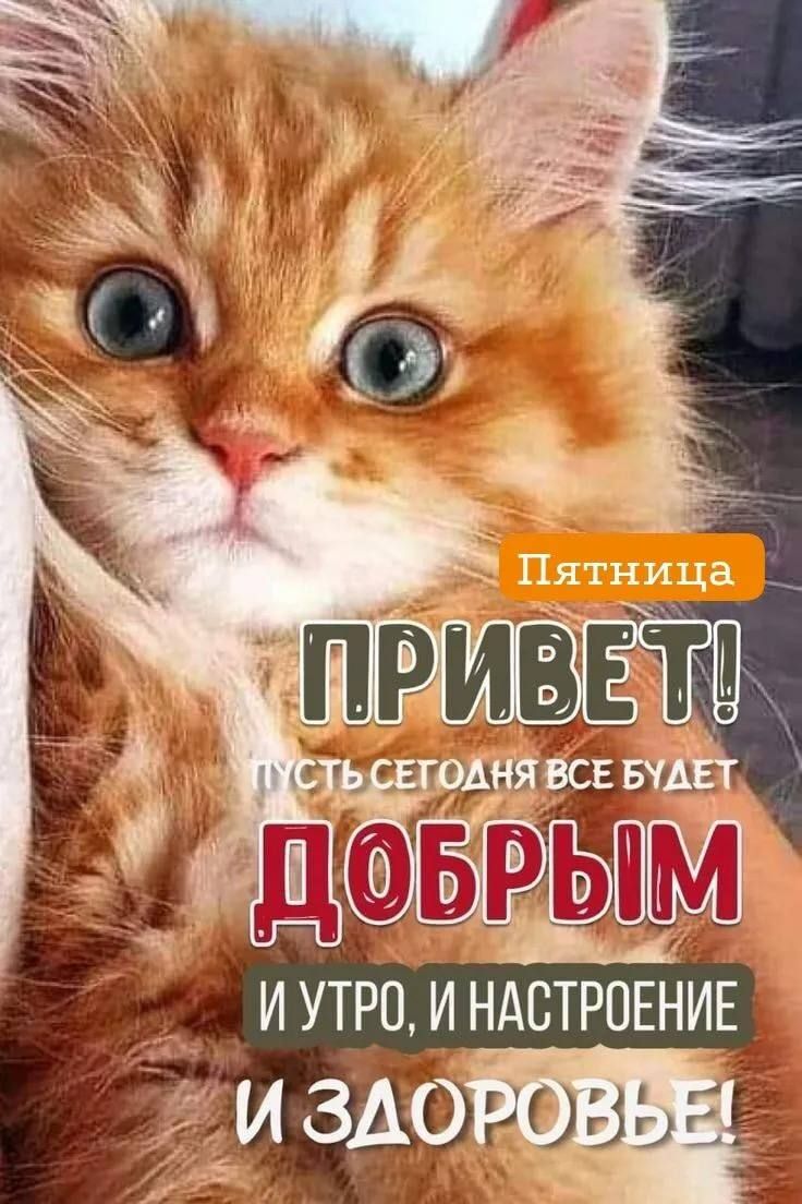 И УТРО И НАСТРОЕНИЕ и мета