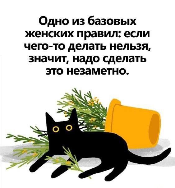 Одно из базовых женских правил если чего то делать нельзя значит надо сделать это незаметно