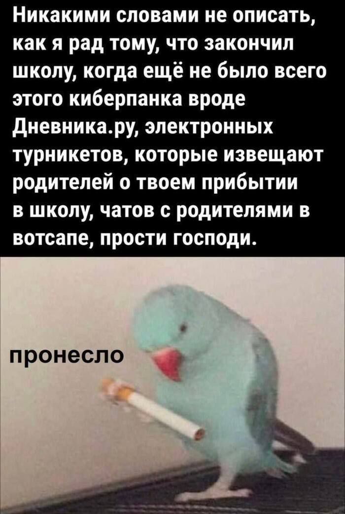 никакими словами не описать как я рад тому что закончил школу когда ещё не было всего этого киберпанка вроде дневникару электронных турникетов которые извещают родителей о твоем прибытии в школу чатов с родителями в вотсапе прости господи ПРОНЭСЛО