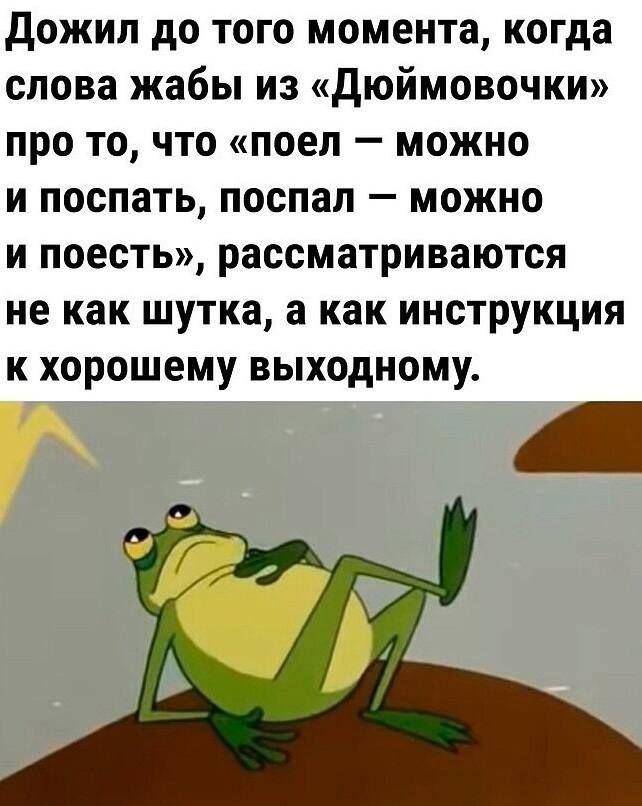 дожил до того момента когда слова жабы из дюймовочки про то что поел можно и поспать поспал можно и поесть рассматриваются не как шутка а как инструкция к хорошему выходному