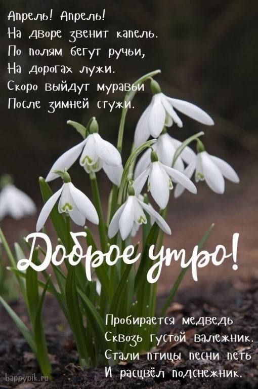 Апрель Апрель На ДВоре звенит капель По полям бегут ручьи На Дорогах лужи Скоро выйдут мура Паше Зимней ту А Пробирасгщ медведь Сквозь густрй валехник Стали пгииу пщи не И ращвёл подснёжнш