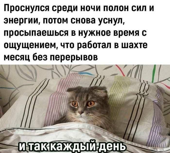 Проснулся среди ночи попон сил и энергии потом снова уснул просыпаешься в нужное время с ощущением что работал в шахте месяц Без перерывов т Мій гш