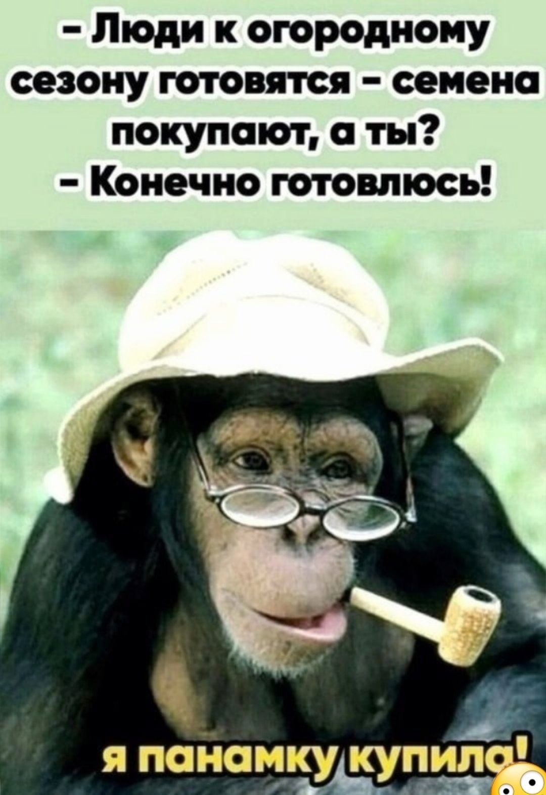Люди к огороднону сезону готовятся семена покупают ты Конечно готовлюсь А я шпонку кутш _