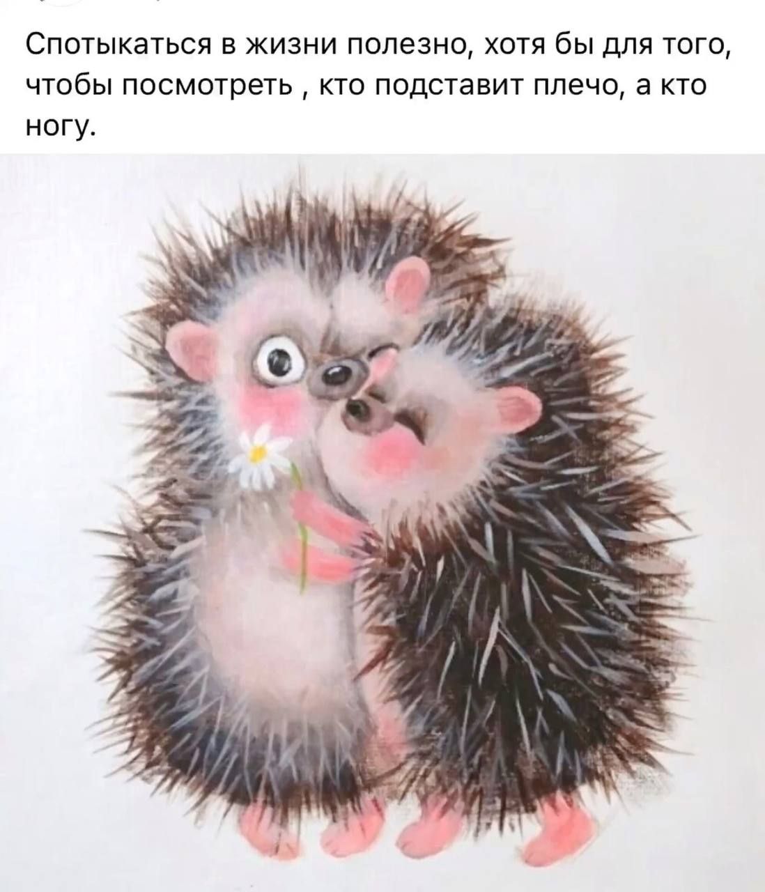 Спотыкаться в жизни полезно хотя бы для того чтобы посмотреть кто подставит плечо а кто ногу