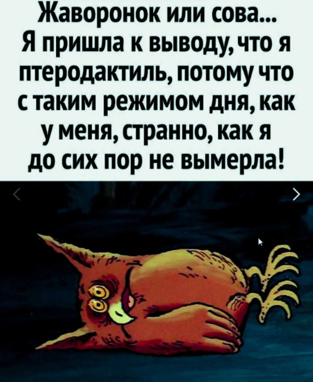Жаворонок или сова Я пришла к выводу что я птеродактиль потому что с таким режимом дня как у меня странно как я до сих пор не вымерла
