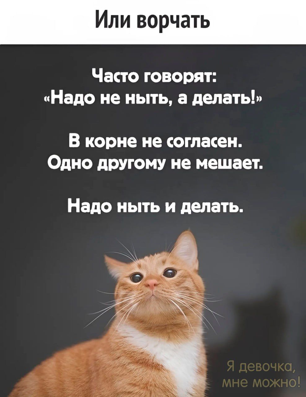 Или ворчать Часто говорят Надо не ныть а делать В корне не СОГЛВСЕН ОДНО другому не мешает Надо ныть и делать