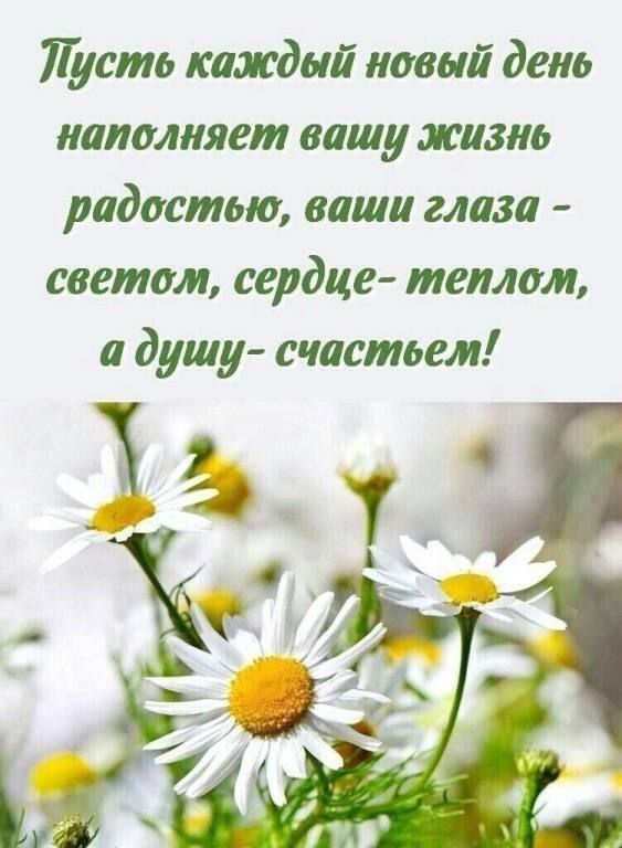 Пусть каждый новый день иапалияет вашу жизнь радостью ваши глаза светом сердце теплом а душу счастьем