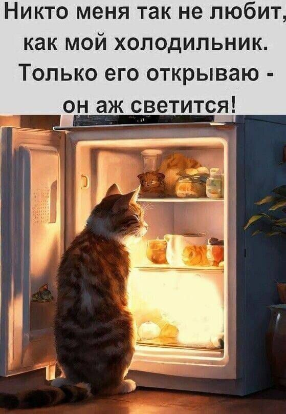 НИКТО меня ТЗК не ЛЮбИТ как мой холодильник Только его открываю он аж светится
