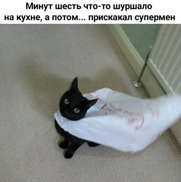 Минут шесть что то шуршапо на кухне а потом РИСКВКЗЛ супермен