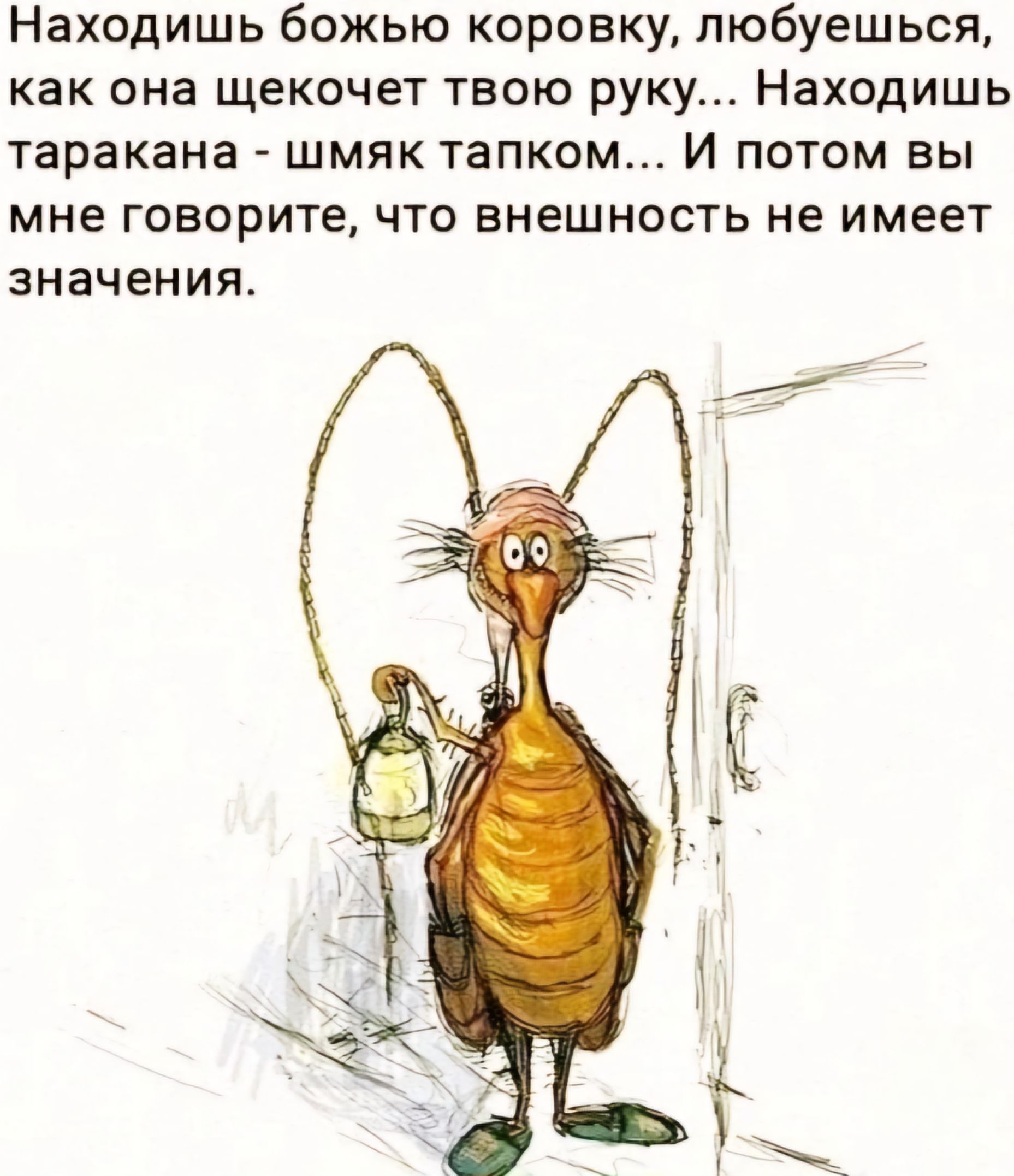 Находишь божью коронку пюбуешься как она щекочет твою руку Находишь таракана шмяк тапком И потом вы МНЕ ГОВОРИТЕ ЧТО ВНЕШНОСТЬ не имеет значения