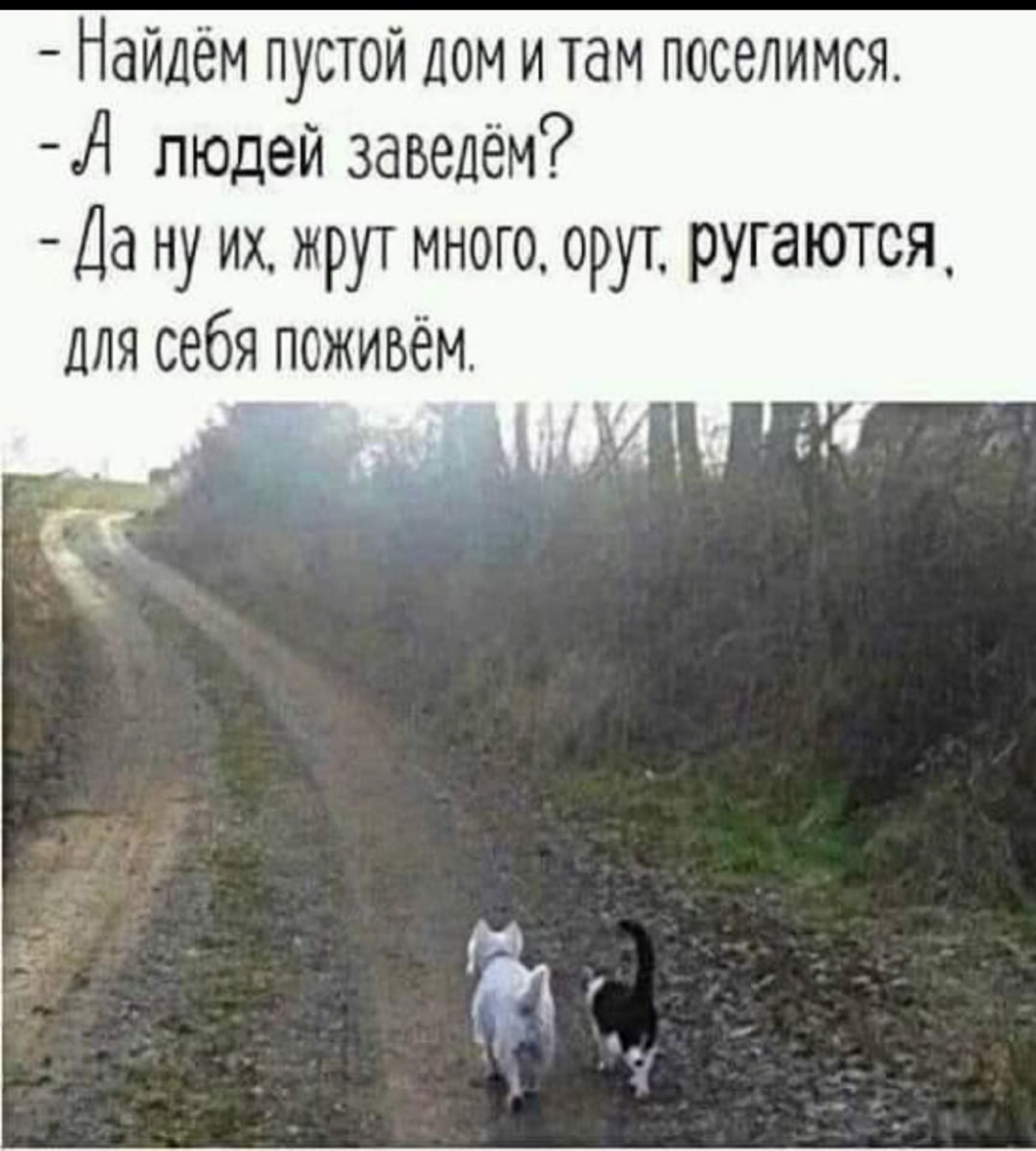 Найдём пустой дом и там поселимся А людей заведем Да ну их жрут много орут ругаются_ для себя поживем