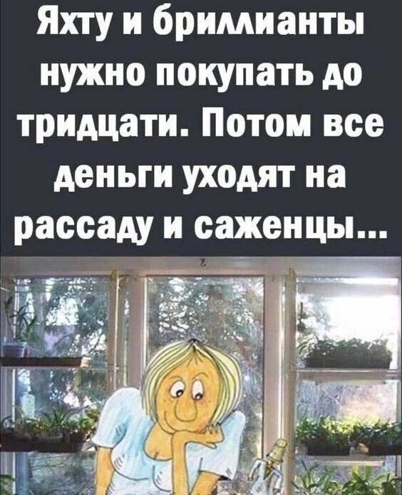 Яхту и бримнанты нужно покупать до тридцати Потом все деньги уходят на рассаду и саженцы