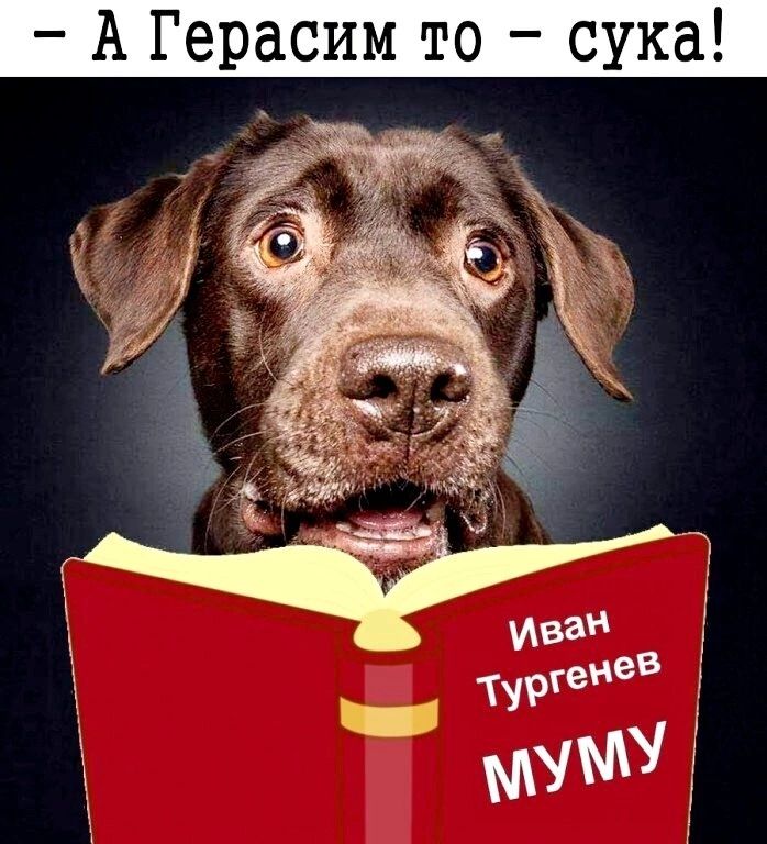 А Герасим то сука