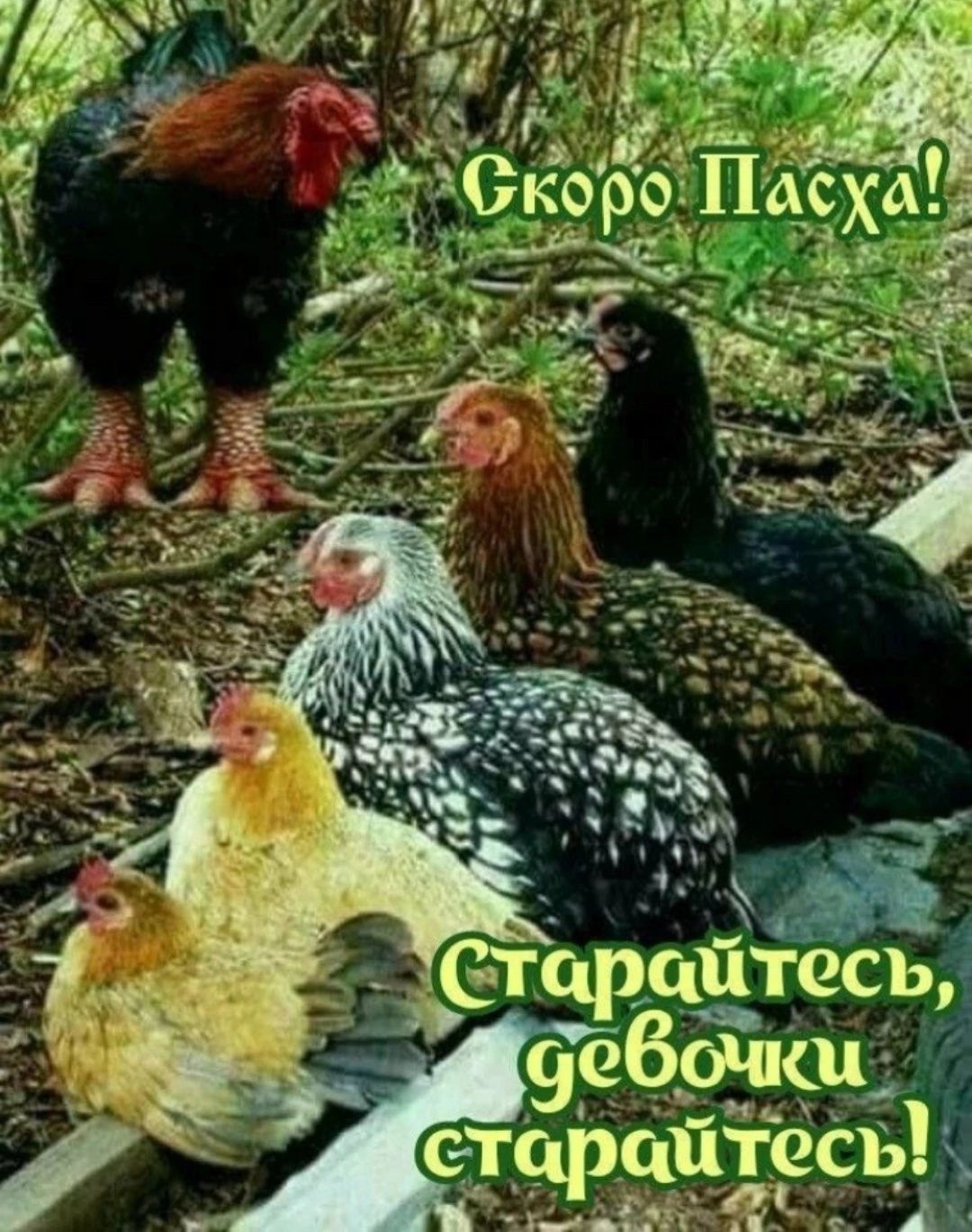 ЕЩРЁЩЧСР 99 93