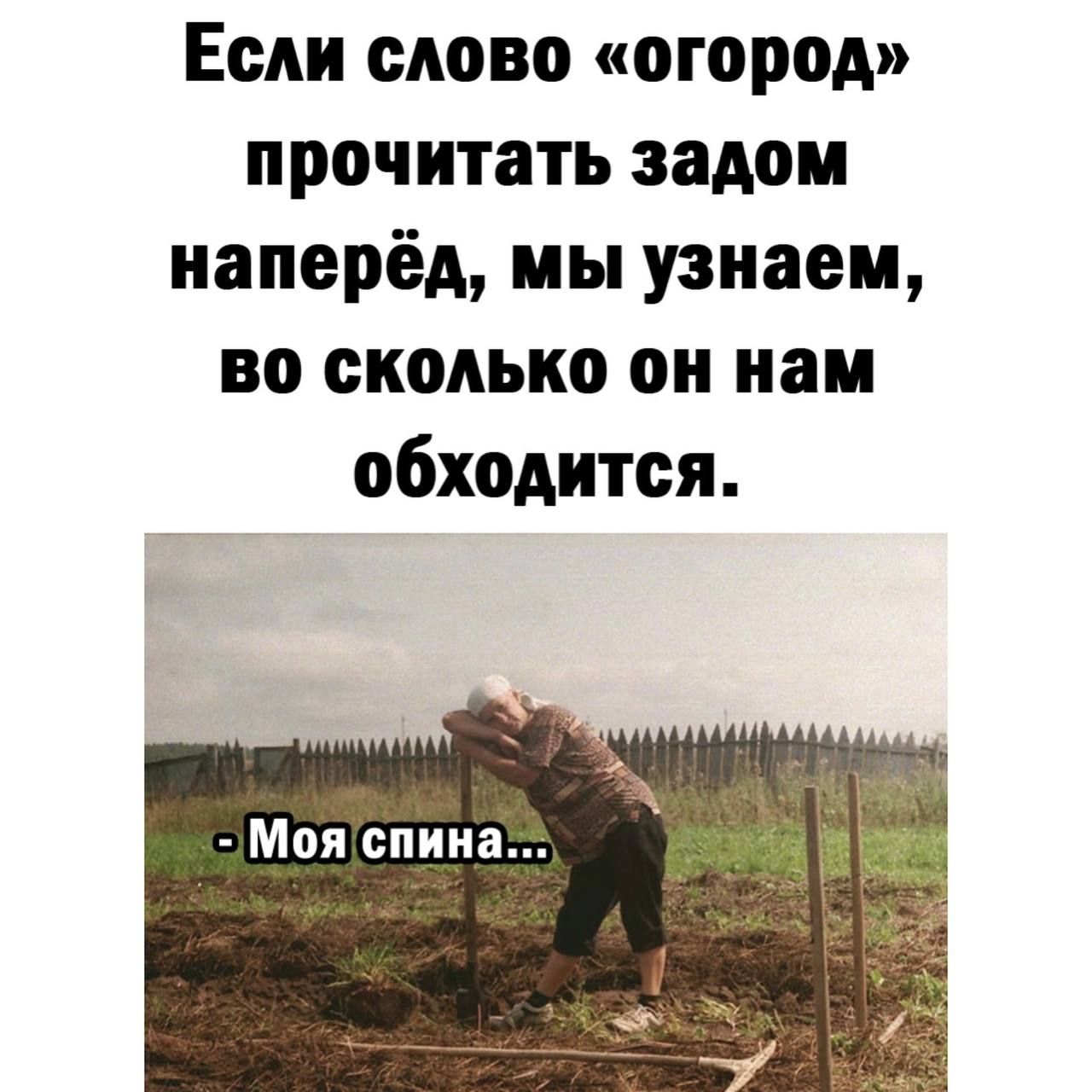 Если слово огород прочитать задом наперёд мы узнаем во сколько он нам обходится Моя спина