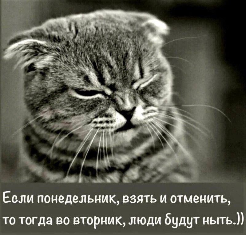 Если понедельник взять и отменить то тогда во вторник люди будут иьггь