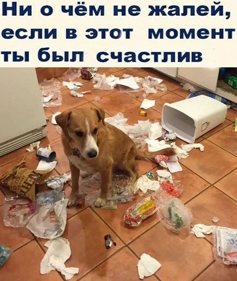 Ни о чём не жалей если в этот момент ты был счастлив