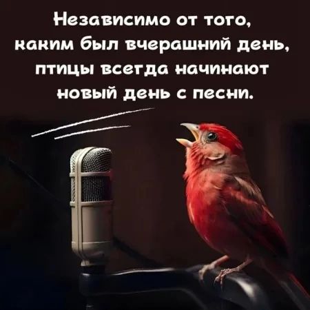 Независимо ОТ ТОГО каким был ВЧВРСШНИЙ дань ПТИЦЫ всегда НОЧИНЦЮТ НОВЫЙ день С песни