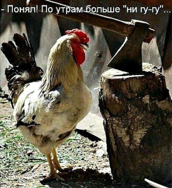 ПонЁп Памбопьше ни гу гу