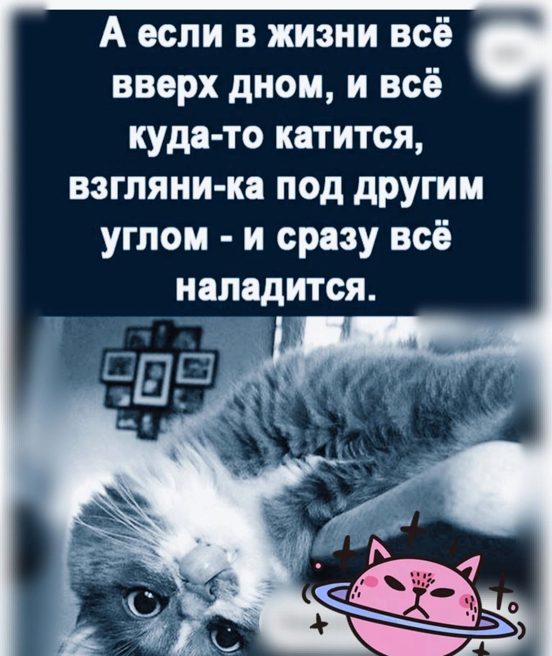 А если в жизни всё вверх дном и всё куда то катится взгляни ка под другим углом и сразу всё иаладится