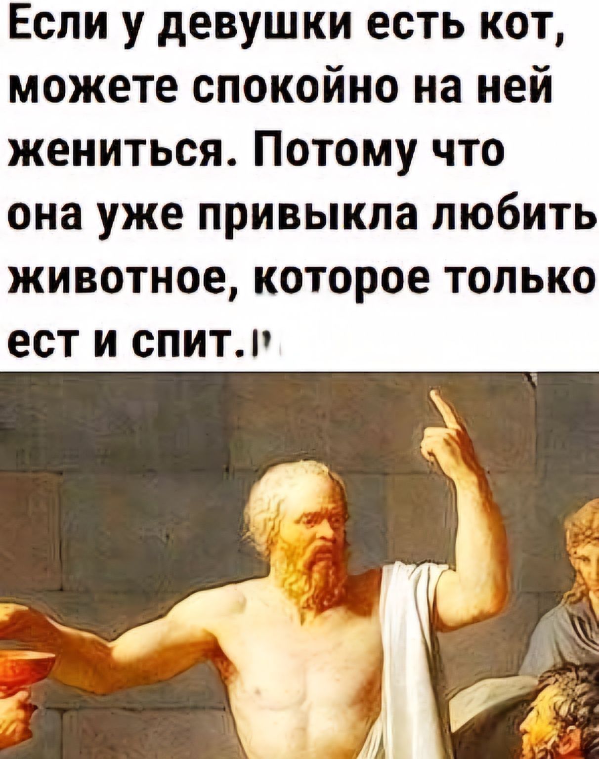 Если у девушки есть кот можете спокойно на ней жениться Потому что она уже привыкла любить животное которое только ест и спитм