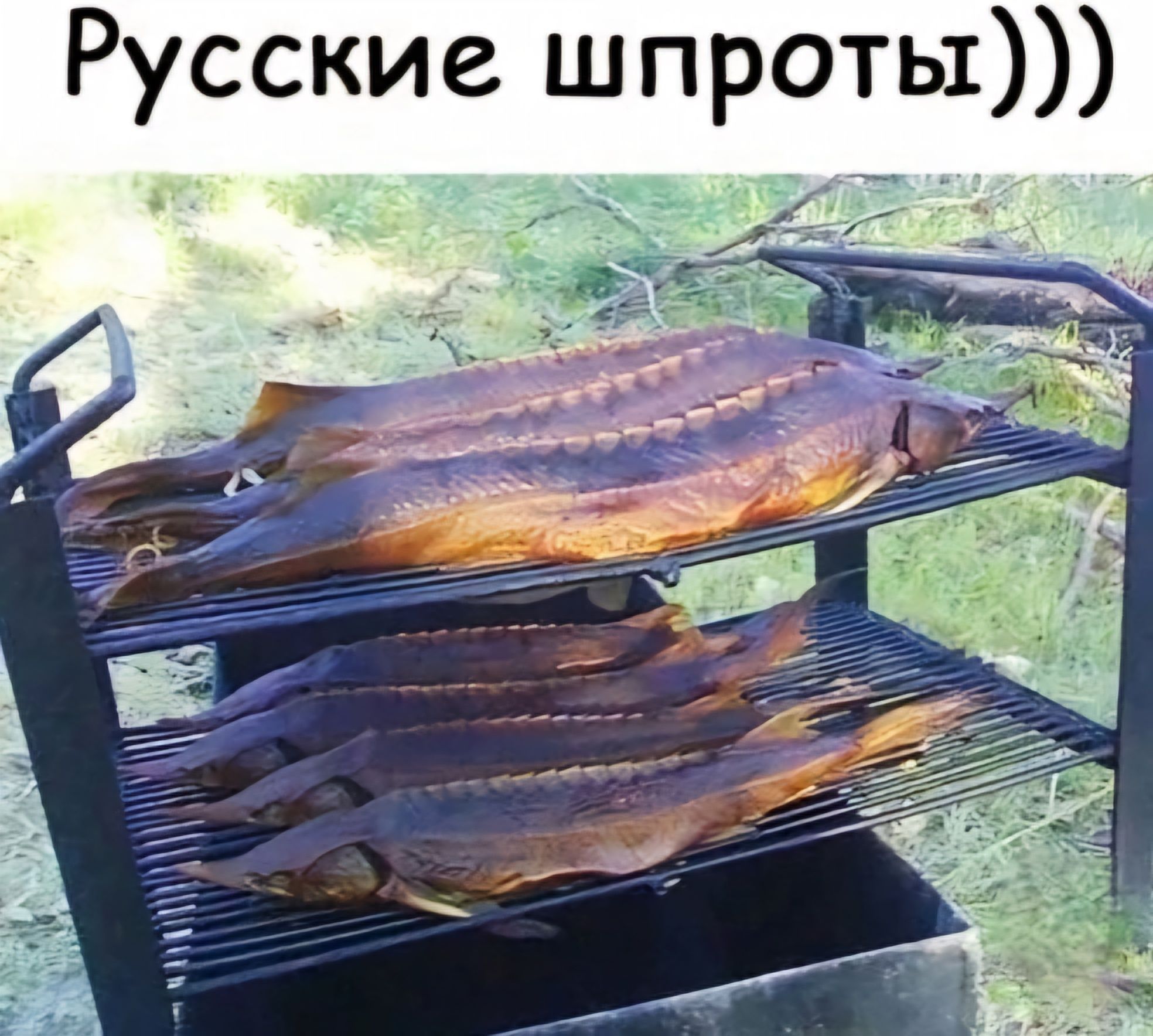 Русские шпроты