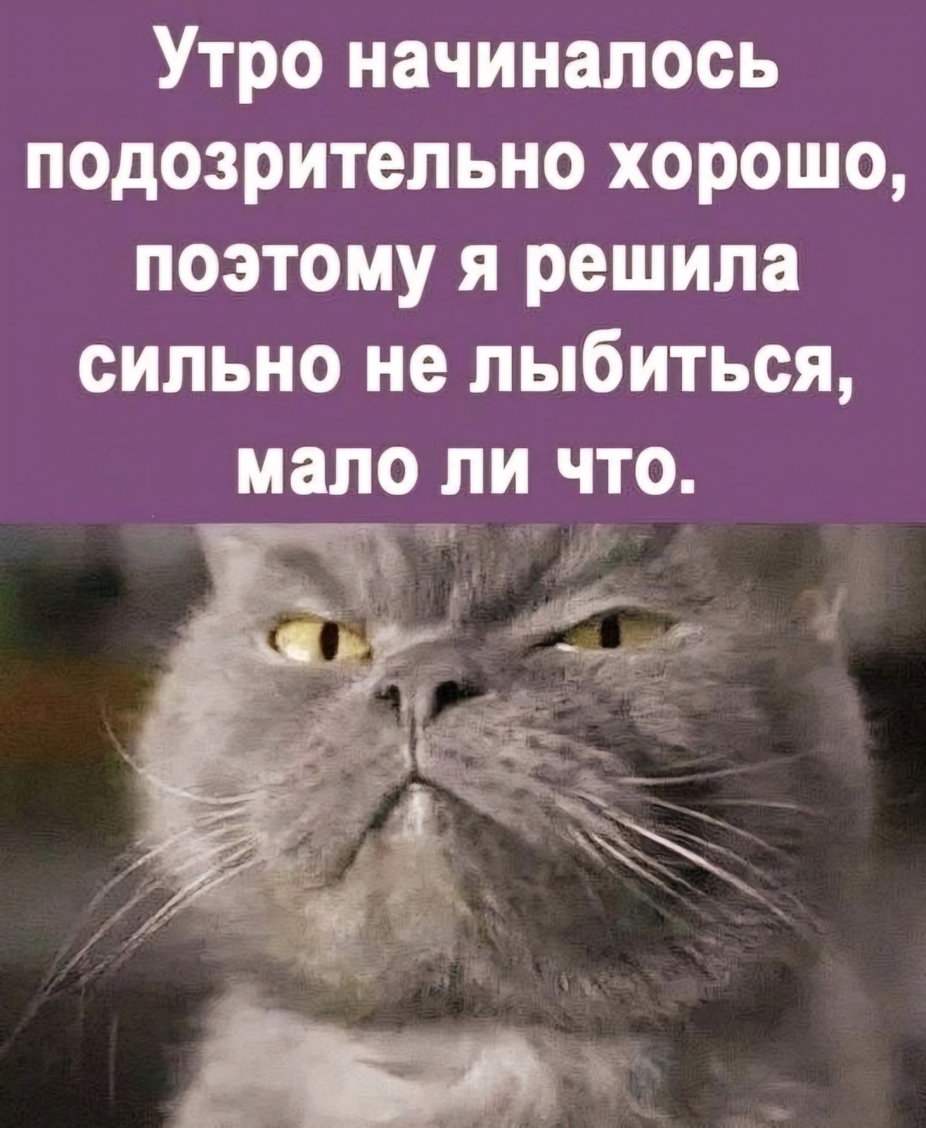 Утро начиналось подозрительно хорошо поэтому я решила сильно не лыбиться мало ли что