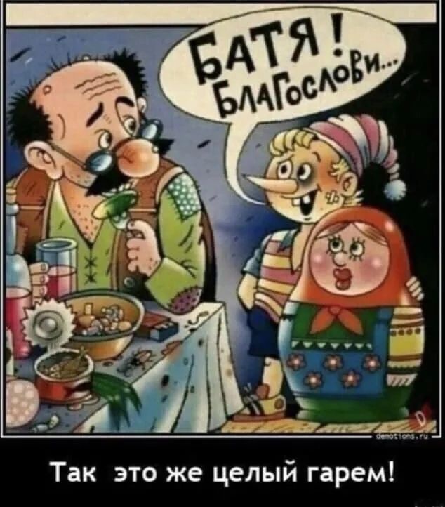 Так это же целый гарем