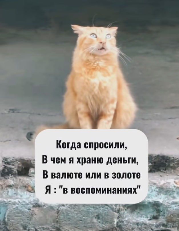 Когда спросили в чем я храню деньги _ В валюте или в золоте я в воспоминаниях