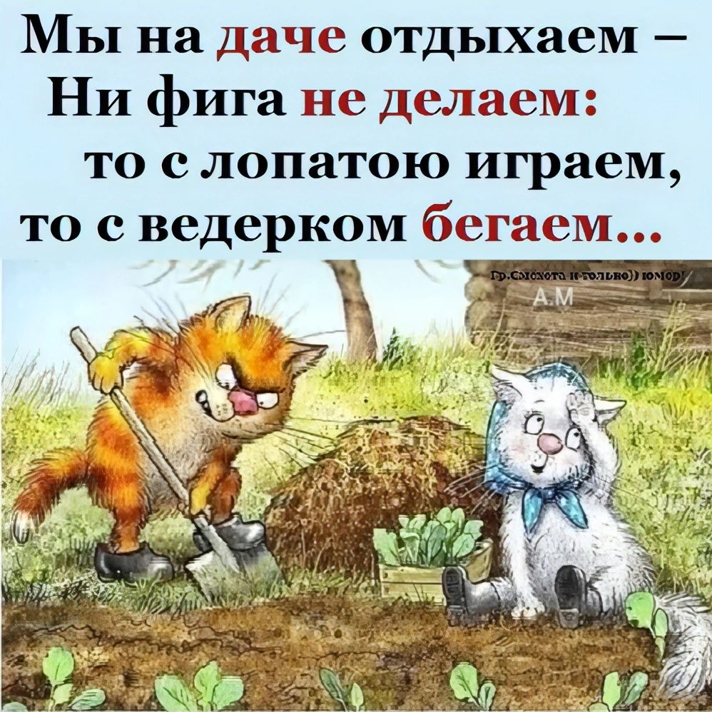 Мы на даче отдыхаем Ни фига не делаем то лопатою играем то с ведерком бегаем