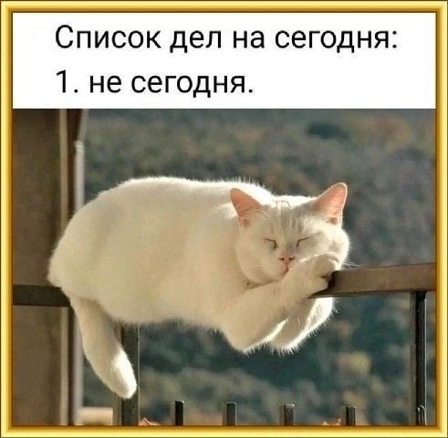 Список дел на сегодня 1 не сегодня