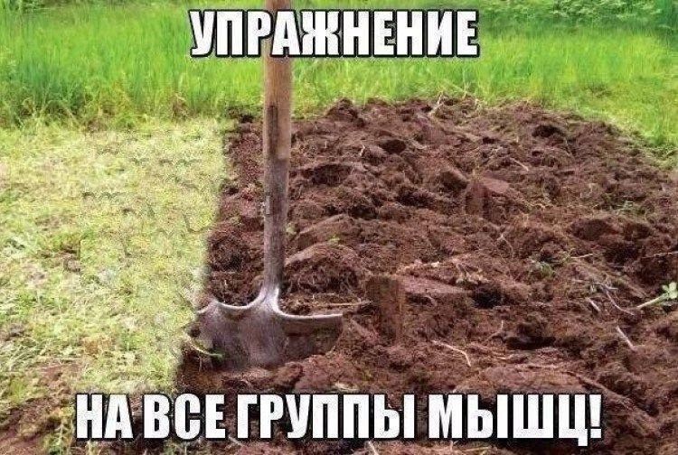 ение дёвцеішпіры Щьішъі