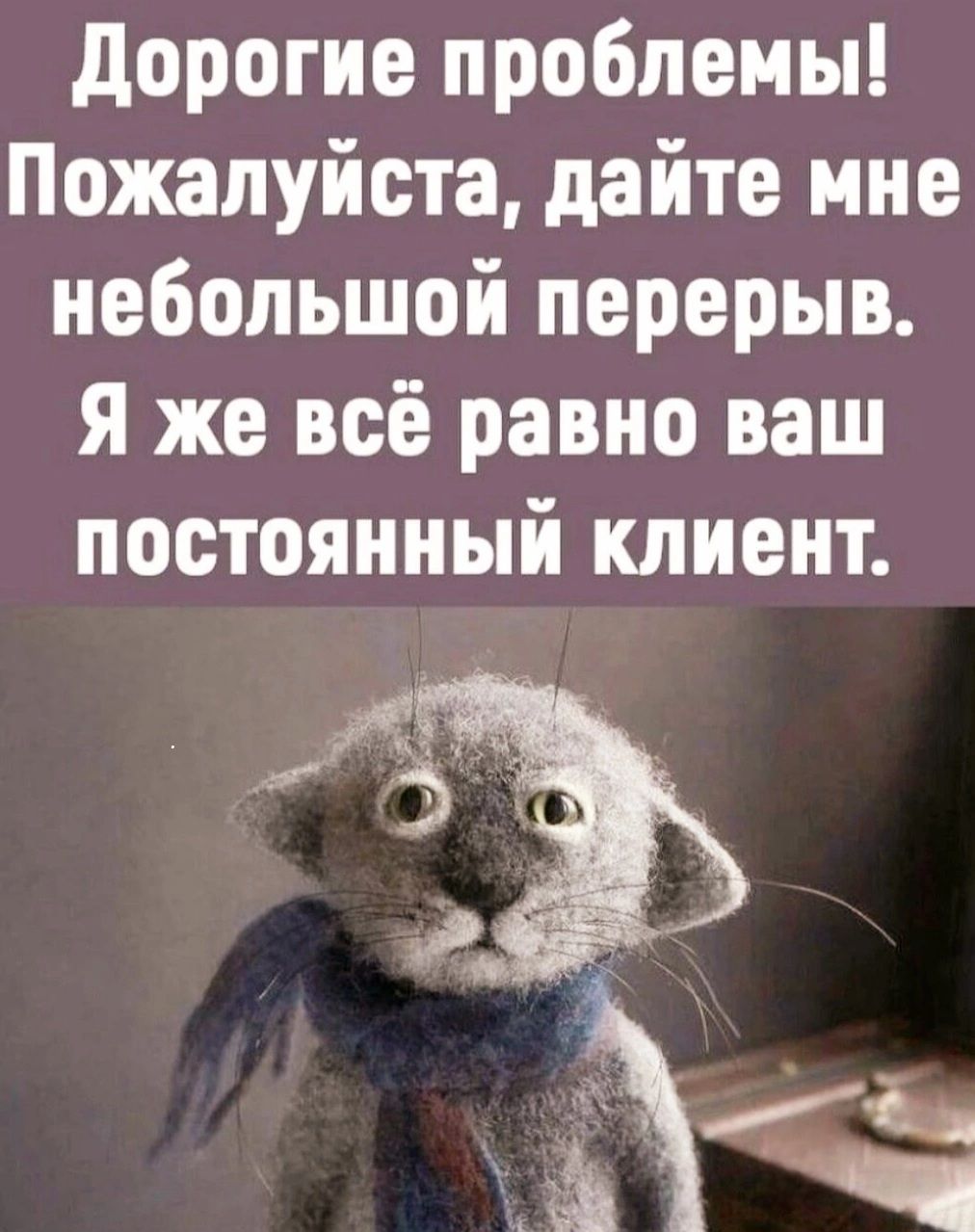 дорогие проблемы Пожалуйста дайте мне небольшой перерыв я же всё равно ваш постоянный клиент э