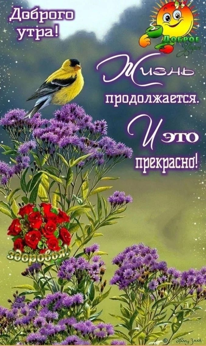 ПРПДПЛЖЗШ 14 прекраснп