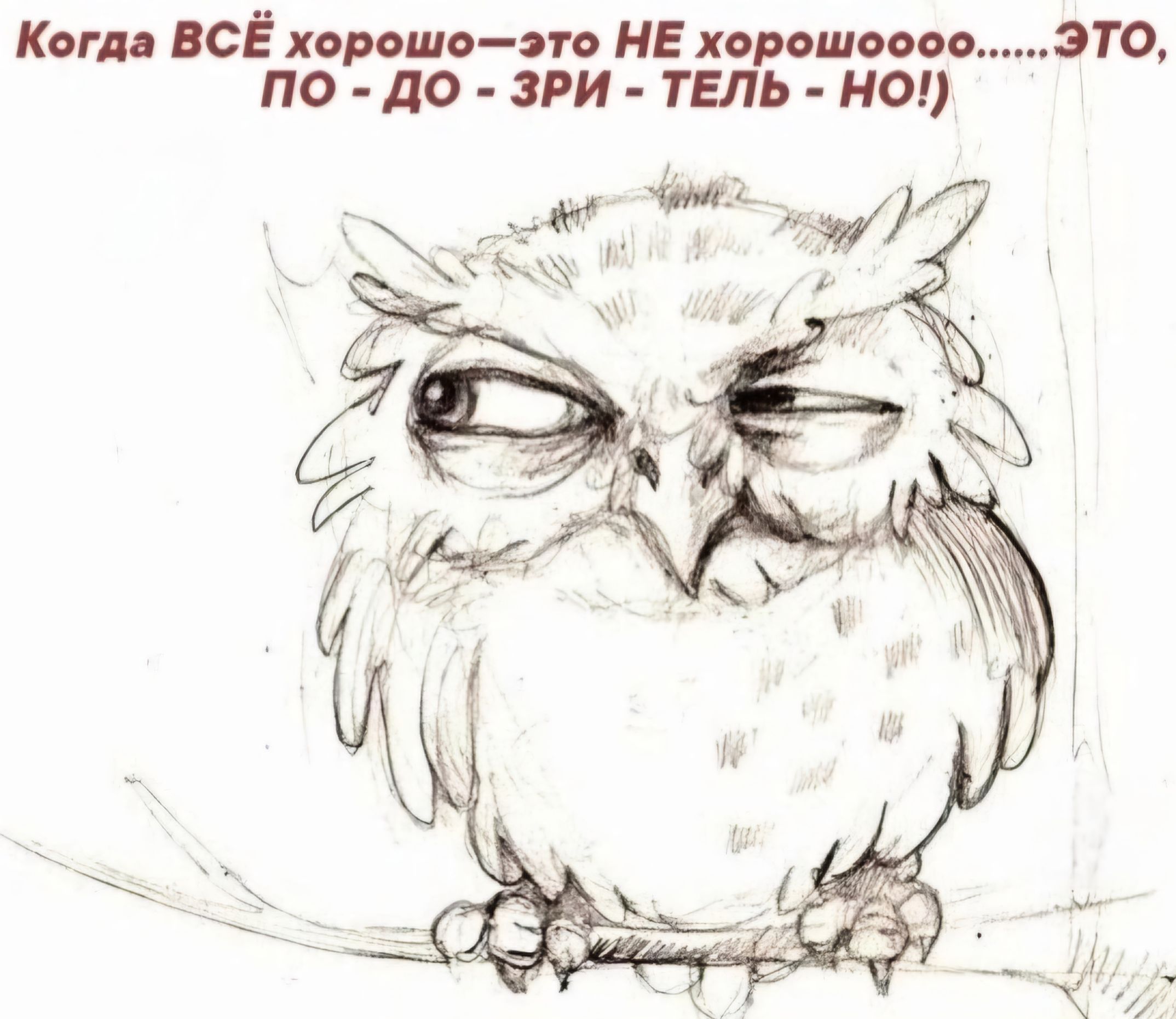 Когда ВСЁ хврошвэп НЕ хврошовввЗТО ПО ДО ЗРИ ГЕЛЬ Н ж ч зд