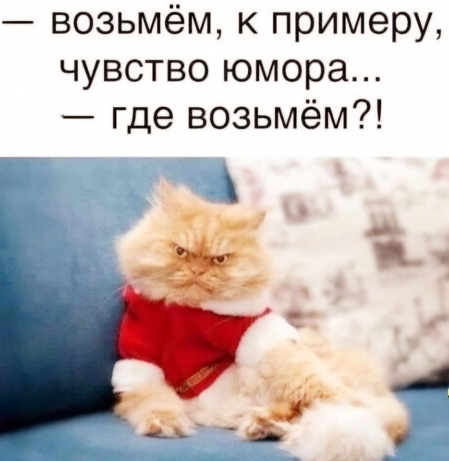 возьмём к примеру чувство юмора где возьмём