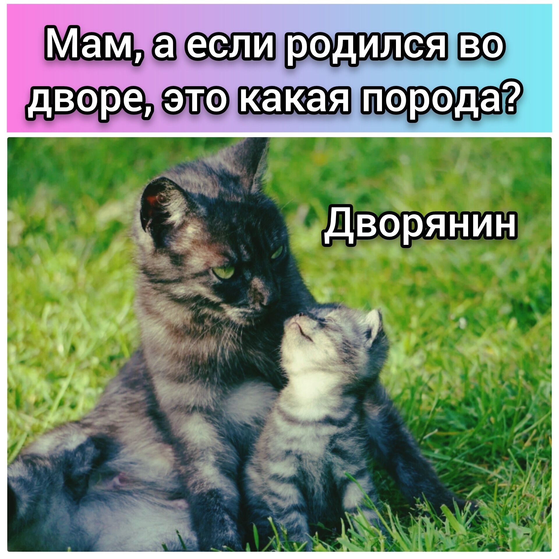 Жажа _