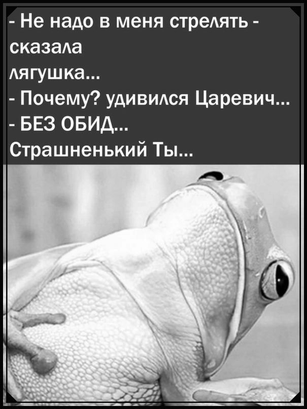 Не надо в меня стреАять сказаАа лягушка Почему удивидся Царевич БЕЗ ОБИА Страшненький Ты