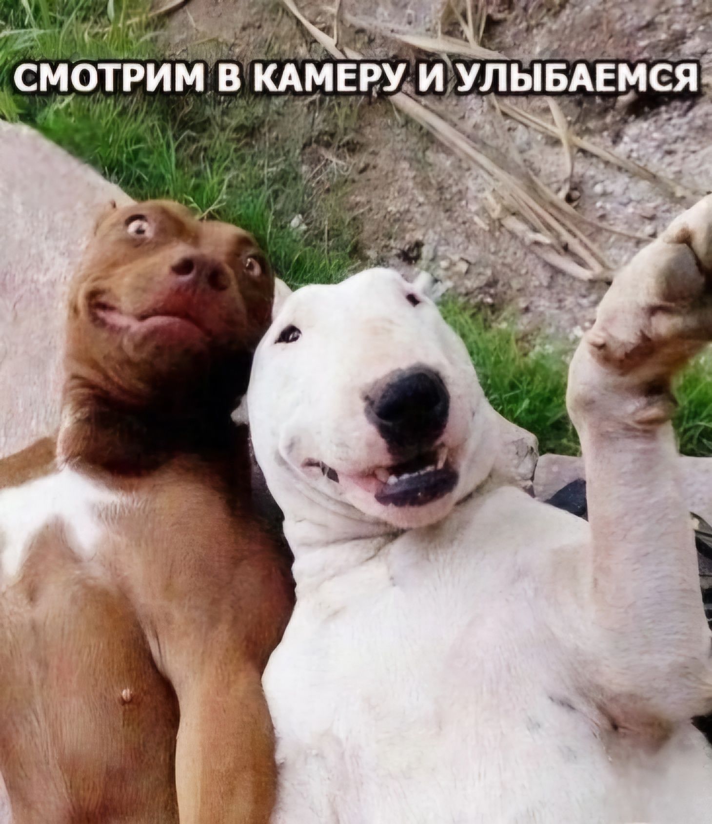 1 смотрим Ь 1